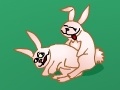                                                                     Breeder: Love and rabbits  ﺔﺒﻌﻟ