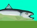                                                                    Salmon Survival ﺔﺒﻌﻟ