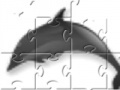                                                                     Dolphin Jigsaw ﺔﺒﻌﻟ