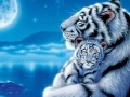                                                                     Mother and Baby Tiger Puzzle ﺔﺒﻌﻟ
