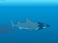                                                                     Medieval Shark ﺔﺒﻌﻟ