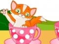                                                                     Cat in Cup ﺔﺒﻌﻟ