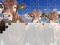                                                                     Gorgeous Cows Jigsaw ﺔﺒﻌﻟ