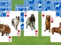                                                                     Best in show: Solitaire ﺔﺒﻌﻟ