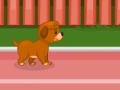                                                                     Puppy racer ﺔﺒﻌﻟ