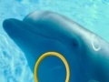                                                                     Dolphin Tale 2 Hidden Alphabets ﺔﺒﻌﻟ