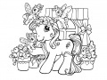                                                                     My Little Pony: Crystal Princess Coloring Book ﺔﺒﻌﻟ