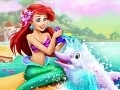                                                                     Ariel Dolphin Wash ﺔﺒﻌﻟ