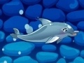                                                                     My Dolphin Show 5 ﺔﺒﻌﻟ
