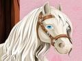                                                                     Magic Horse Caring ﺔﺒﻌﻟ