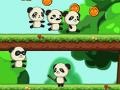                                                                     Panda Shock Troop  ﺔﺒﻌﻟ