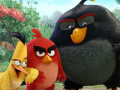                                                                     The Angry Birds Movie Online ﺔﺒﻌﻟ