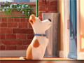                                                                     Hidden Letters in The Secret Life of Pets ﺔﺒﻌﻟ