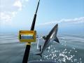                                                                     Azure Sea Fishing ﺔﺒﻌﻟ