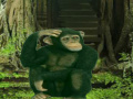                                                                     Chimpanzee Forest Escape ﺔﺒﻌﻟ
