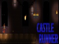                                                                     Castle Runner   ﺔﺒﻌﻟ