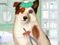                                                                     Doctor For Dog With a Blog ﺔﺒﻌﻟ