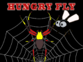                                                                     Hungry fly ﺔﺒﻌﻟ