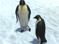                                                                     The littlest penguin ﺔﺒﻌﻟ