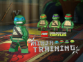                                                                     Teenage Mutant Ninja Turtles: Ninja Training ﺔﺒﻌﻟ