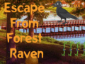                                                                     Escape from Forest Raven ﺔﺒﻌﻟ