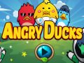                                                                     Angry Ducks ﺔﺒﻌﻟ