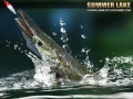                                                                     Summer Lake 1.5 ﺔﺒﻌﻟ