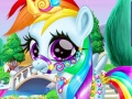                                                                     Rainbow Pony Caring ﺔﺒﻌﻟ