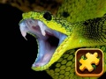                                                                     Snake Puzzle Challenge ﺔﺒﻌﻟ