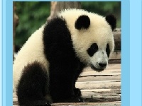                                                                     Panda puzzle ﺔﺒﻌﻟ