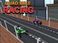                                                                     Quad Bike Racing ﺔﺒﻌﻟ