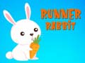                                                                     Runner Rabbit ﺔﺒﻌﻟ