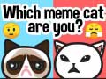                                                                     Which Meme Cat Are You? ﺔﺒﻌﻟ