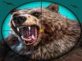                                                                     Wild Bear Hunting ﺔﺒﻌﻟ