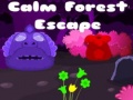                                                                     Calm Forest Escape ﺔﺒﻌﻟ