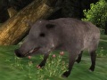                                                                     Wild boar Hunting ﺔﺒﻌﻟ
