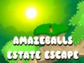                                                                     Amazeballs Estate Escape ﺔﺒﻌﻟ