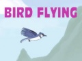                                                                    Bird Flying ﺔﺒﻌﻟ