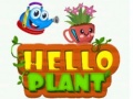                                                                     Hello Plant  ﺔﺒﻌﻟ