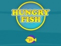                                                                     Hungry Fish ﺔﺒﻌﻟ