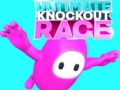                                                                     Ultimate Knockout Race ﺔﺒﻌﻟ