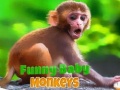                                                                    Funny Baby Monkey ﺔﺒﻌﻟ