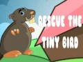                                                                     Rescue The Tiny Bird ﺔﺒﻌﻟ