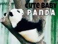                                                                     Cute Baby Panda ﺔﺒﻌﻟ