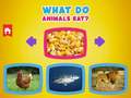                                                                     What Do Animals Eat? ﺔﺒﻌﻟ