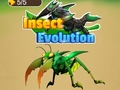                                                                     Insect Evolution ﺔﺒﻌﻟ