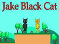                                                                     Jake Black Cat ﺔﺒﻌﻟ