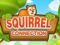                                                                     Squirrel Connection ﺔﺒﻌﻟ