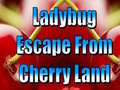                                                                     Ladybug Escape From Cherry Land ﺔﺒﻌﻟ