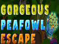                                                                     Gorgeous Peafowl Escape ﺔﺒﻌﻟ